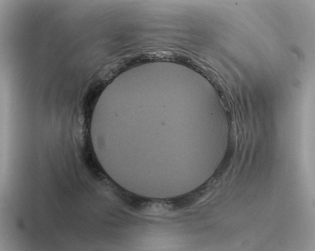 X0000116560223201001071141
