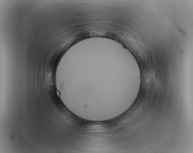 X0000116560224201001071141