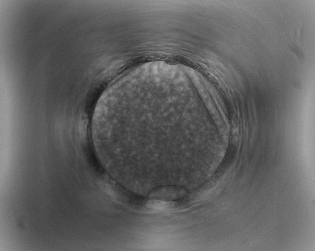 X0000116560231201001071141