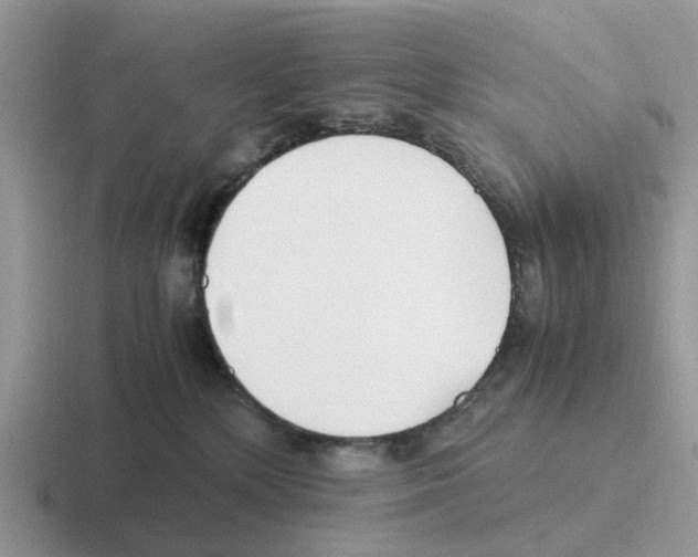 X0000116560232201001071141