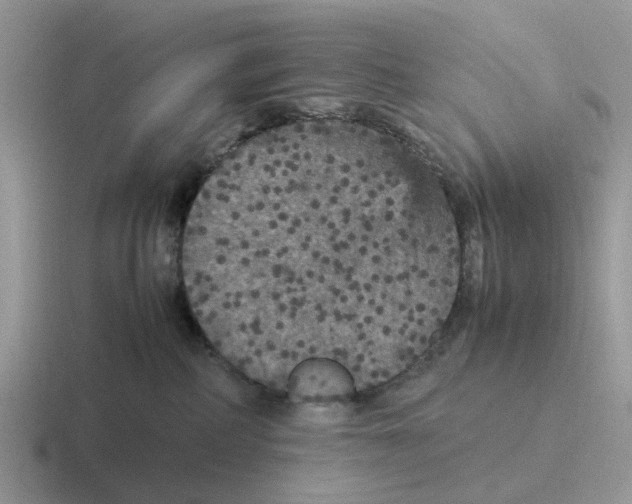 X0000116560234201001071141