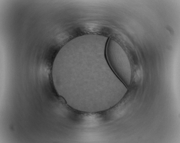 X0000116560235201001071141