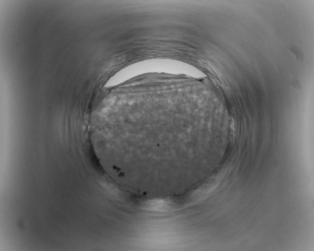 X0000116560237201001071141