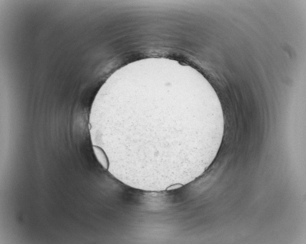 X0000116560240201001071141