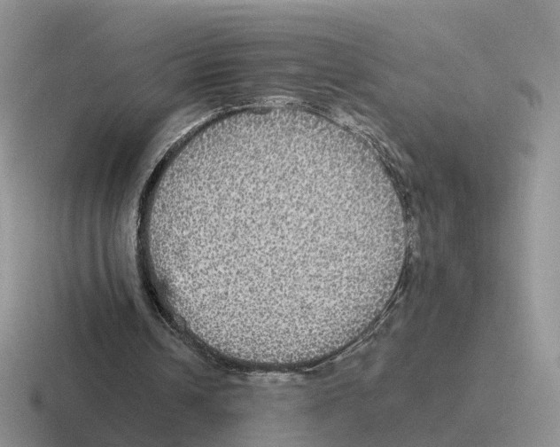 X0000116560242201001071141