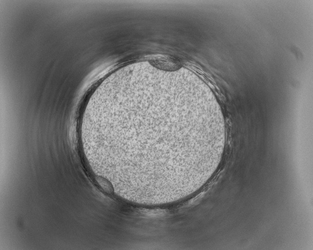 X0000116560245201001071141