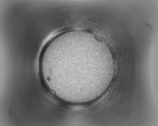 X0000116560246201001071141
