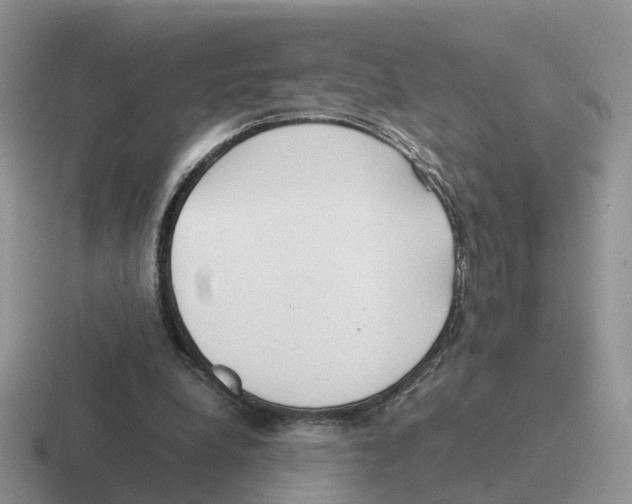 X0000116560248201001071141