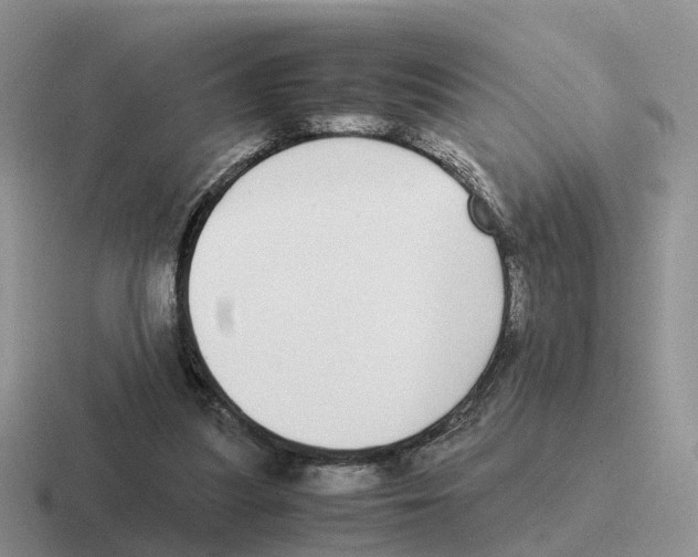 X0000116560251201001071141