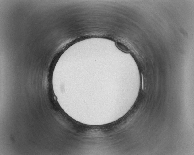 X0000116560252201001071141