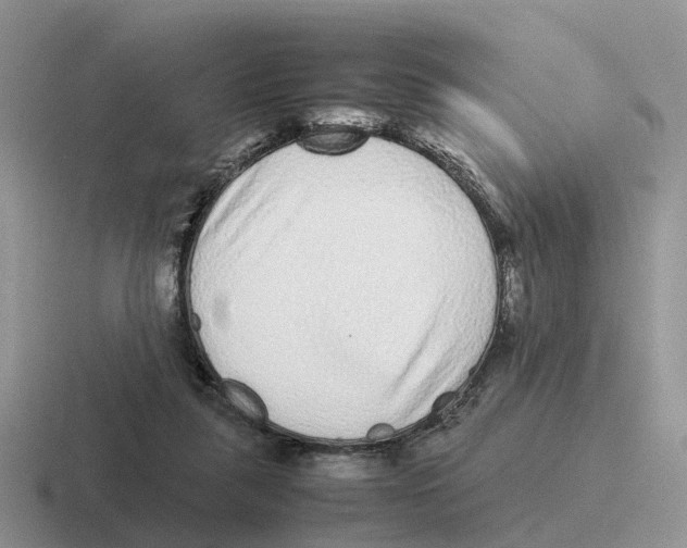 X0000116560259201001071141