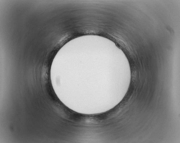 X0000116560264201001071141