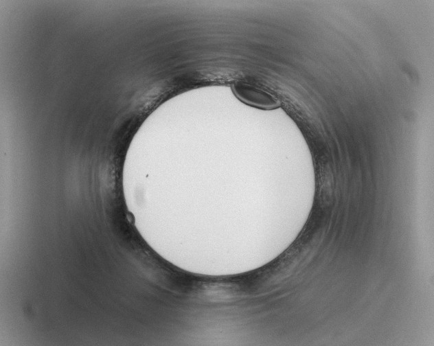 X0000116560268201001071141