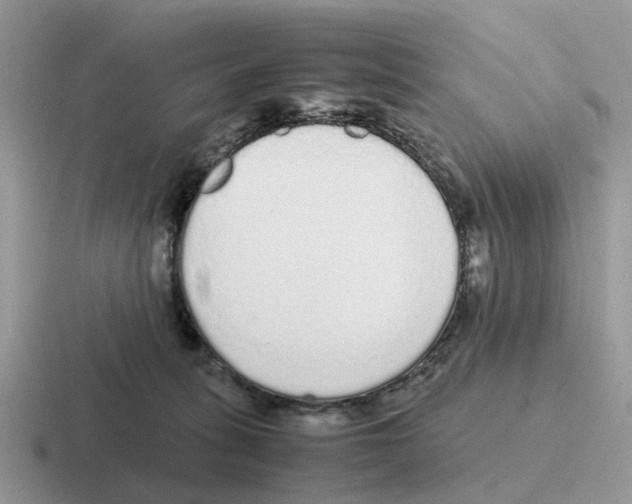 X0000116560275201001071141