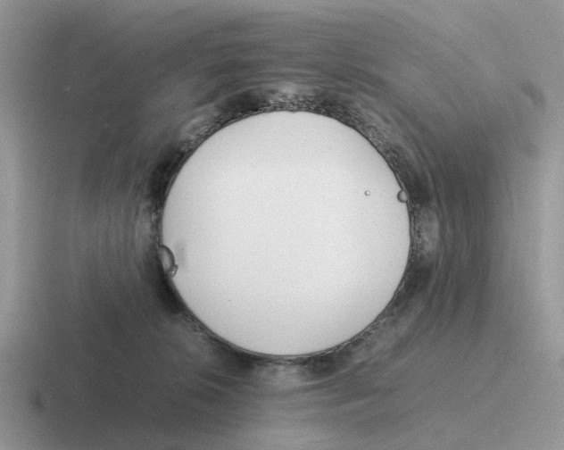 X0000116560276201001071141