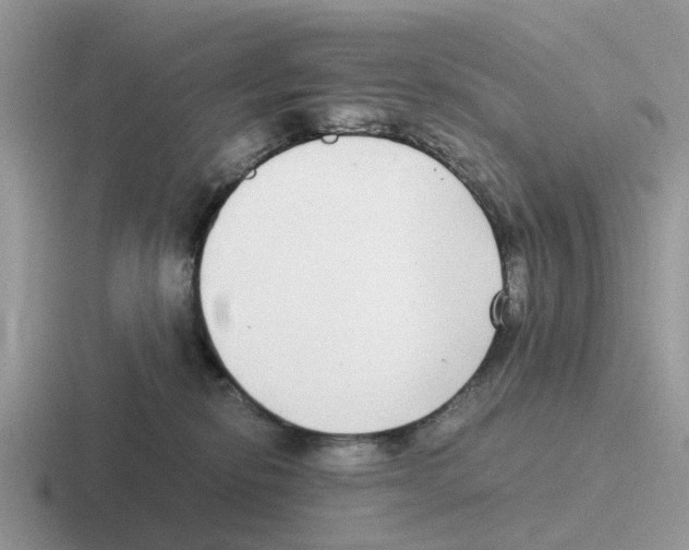 X0000116560278201001071141