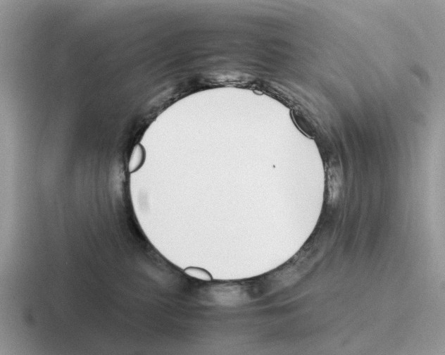X0000116560279201001071141