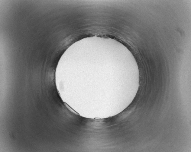 X0000116560288201001071141