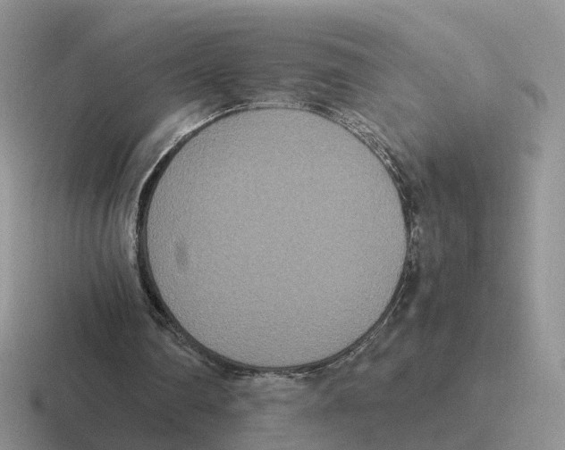 X0000116560290201001071140