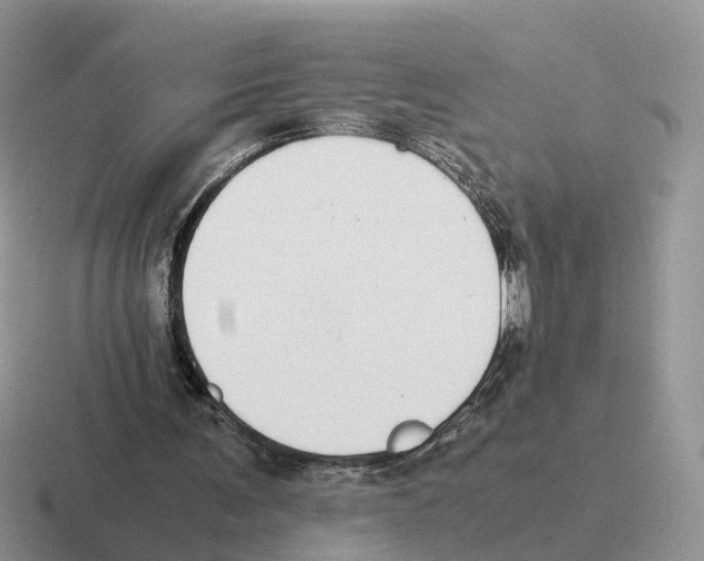 X0000116560291201001071140