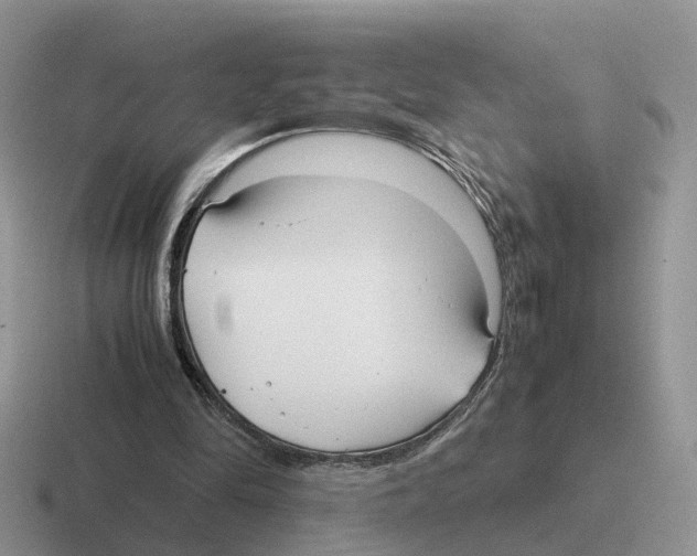 X0000116560294201001071140