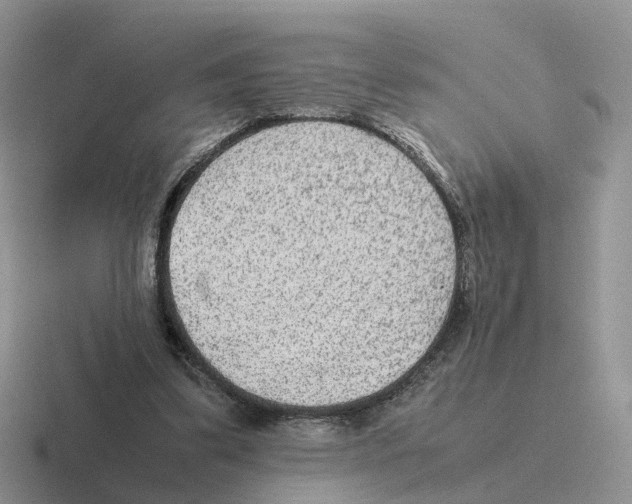 X0000116560299201001071140