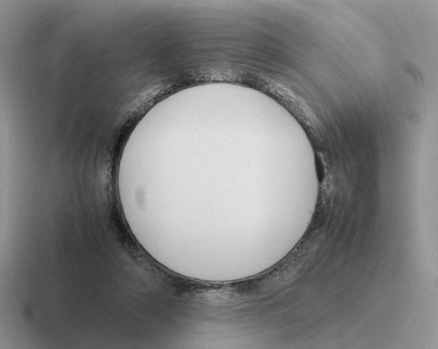 X0000116560306201001071140