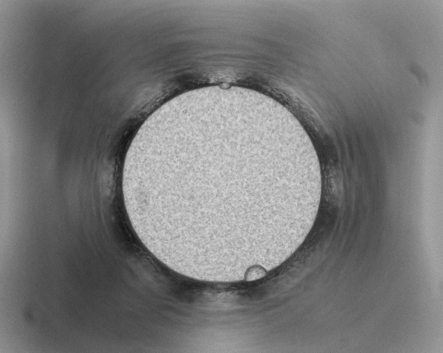 X0000116560311201001071140