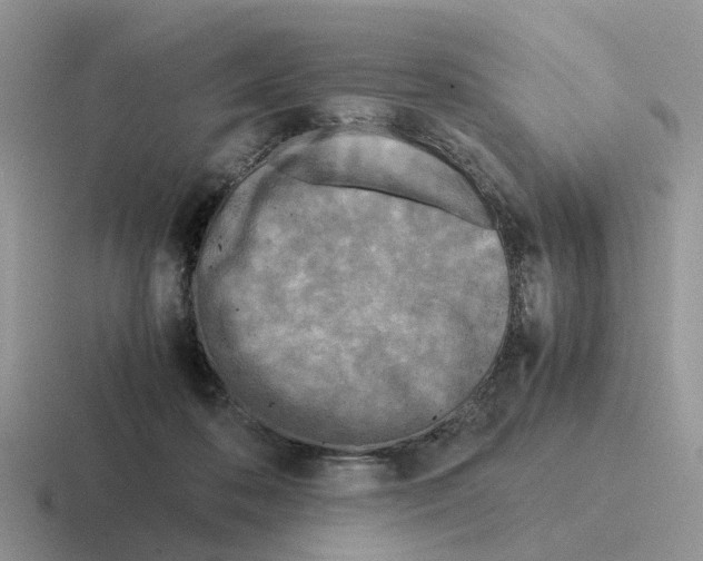 X0000116560316201001071140