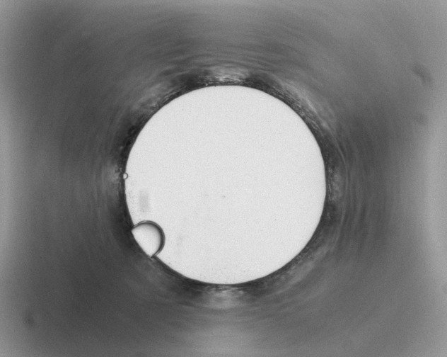 X0000116560321201001071140