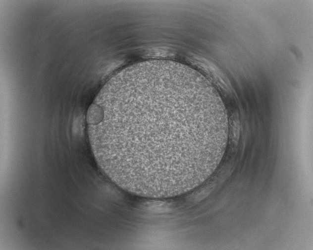 X0000116560326201001071140