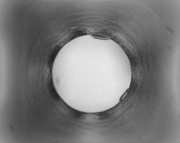 X0000116560327201001071140