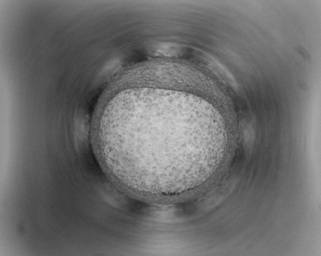 X0000116560328201001071140