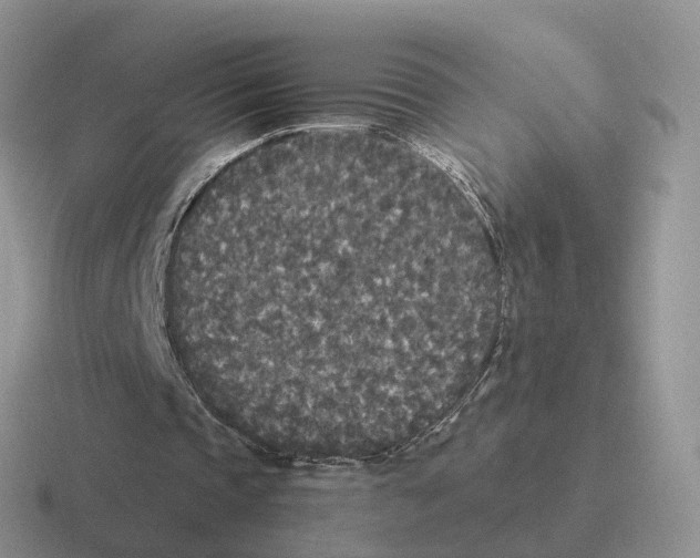 X0000116560337201001071139
