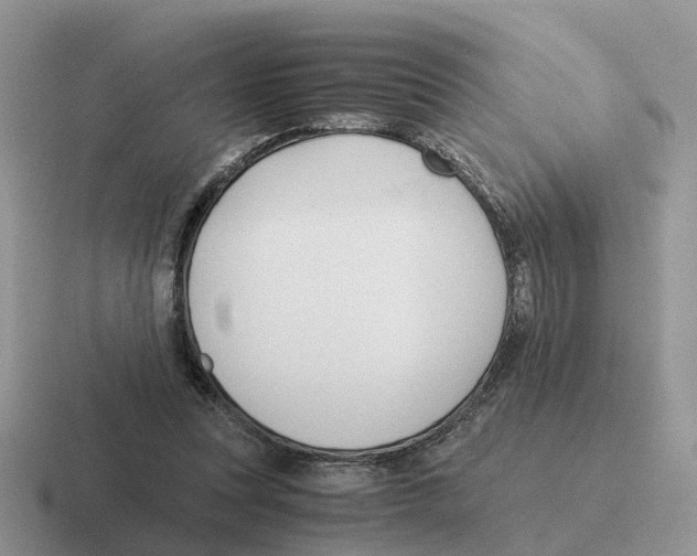X0000116560351201001071139
