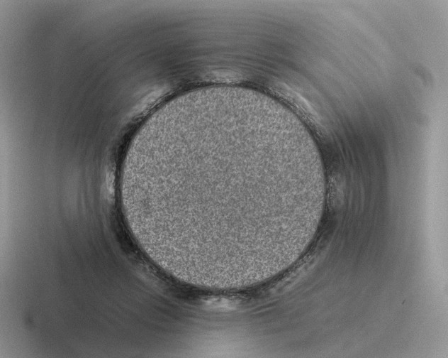 X0000116560358201001071140