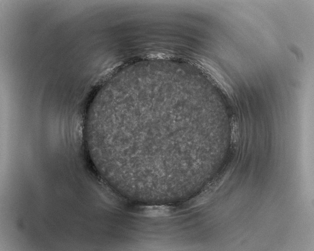 X0000116560363201001071140