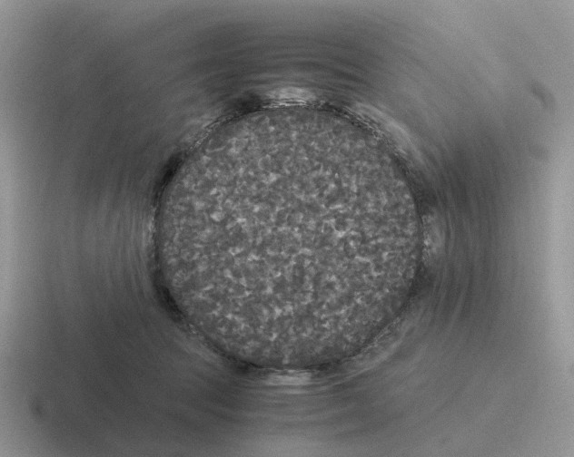 X0000116560369201001071140