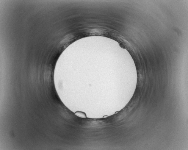 X0000116560379201001071140