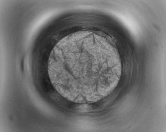 X0000116560383201001071140