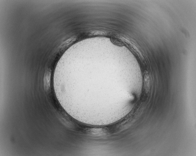 X0000116560406201001071139