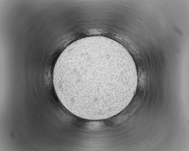 X0000116560418201001071139