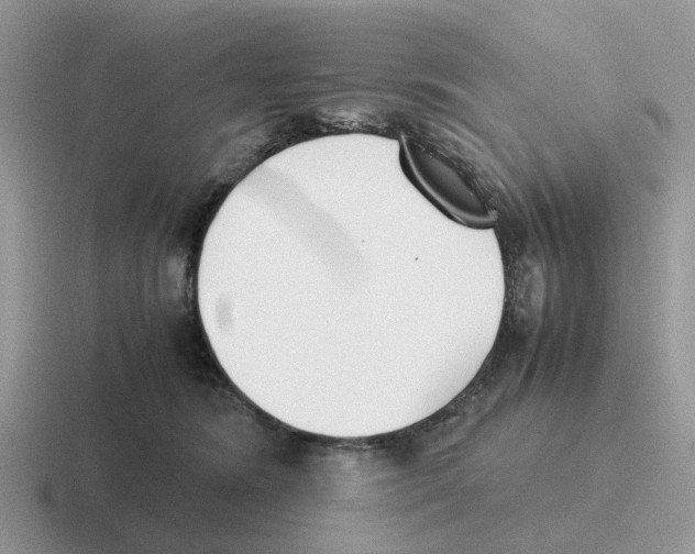 X0000116560420201001071139
