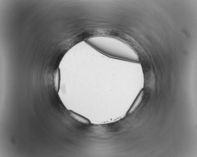 X0000116560425201001071139