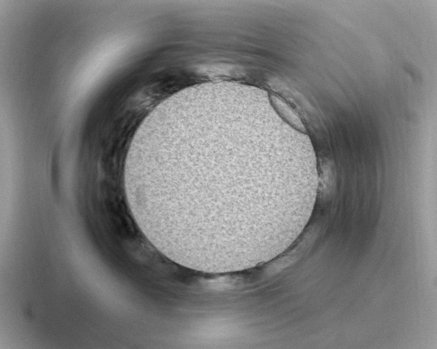 X0000116560430201001071139