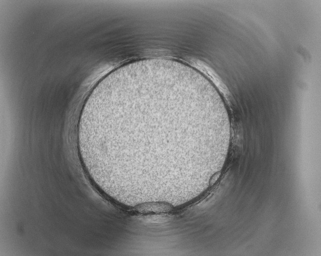 X0000116560433201001071138