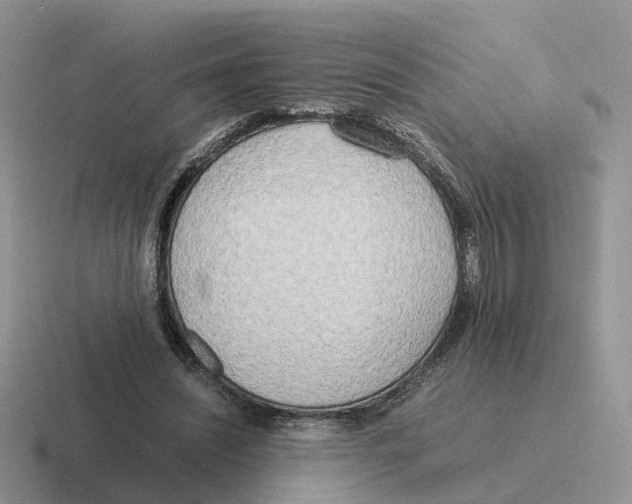X0000116560444201001071138