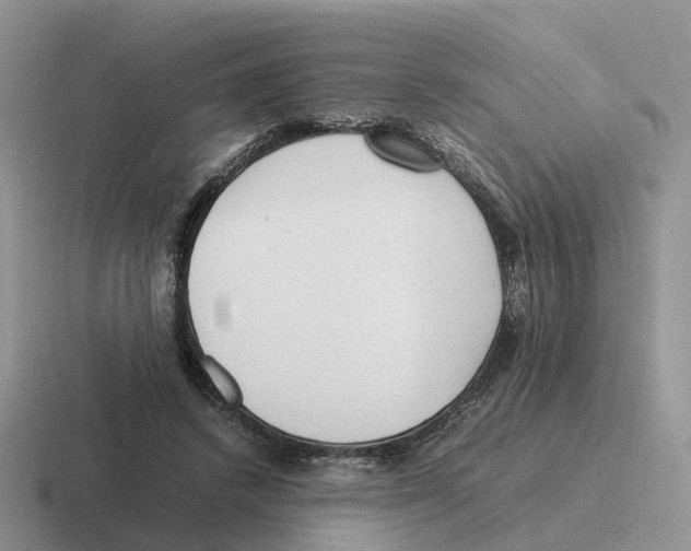 X0000116560448201001071138