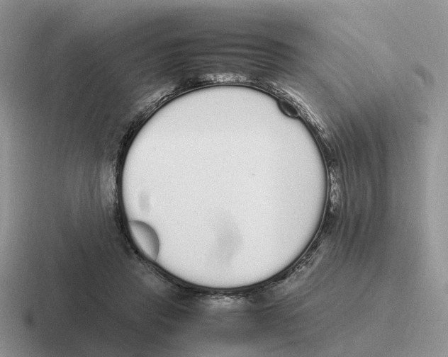 X0000116560453201001071138