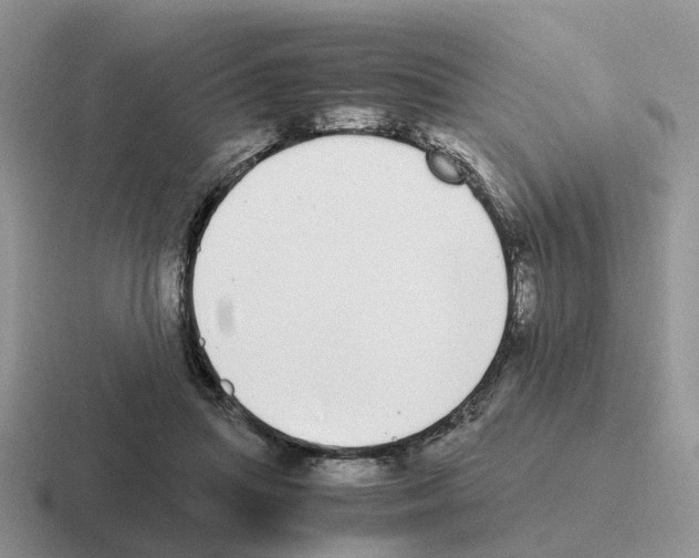 X0000116560455201001071138